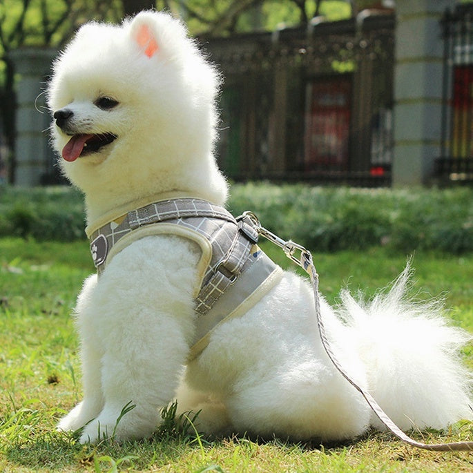 Coleira Peitoral Com Guia Reflexiva Respirável, Colete Ajustável Para Cães e Gatos - Cactos Express